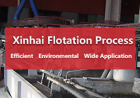 Procédé de flottation de Xinhai